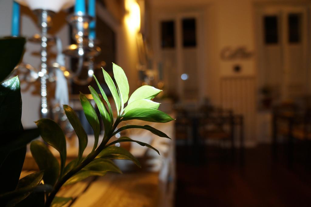Domus San Martino Guesthouse Piacenza Eksteriør bilde